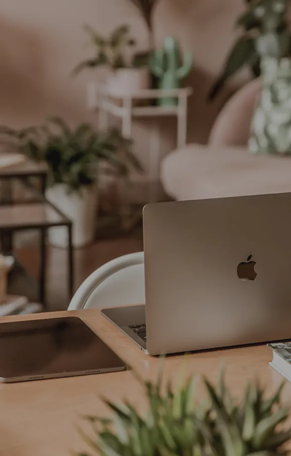 حاويات وعقود نظافة 13 home section 6 column 1 background